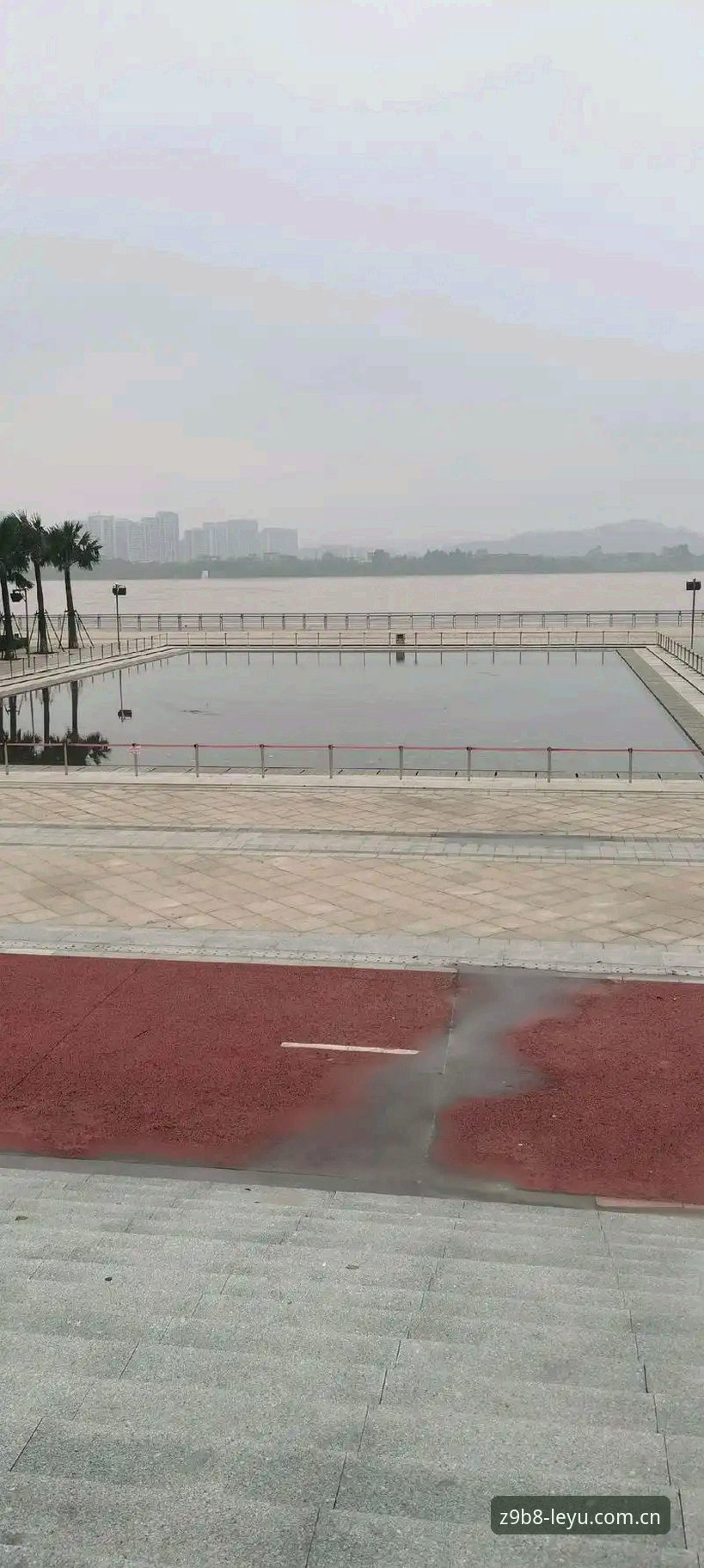 乐鱼Z9B8篮球水位查询攻略 篮球水位波动到底怎么看?乐鱼Z9B8查询攻略里有答案吗?